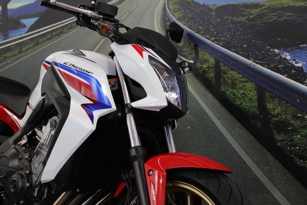 Honda CB 650 F (2017 - 18) (12)