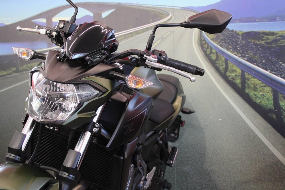 Kawasaki Z 650 (2017 - 19) (11)