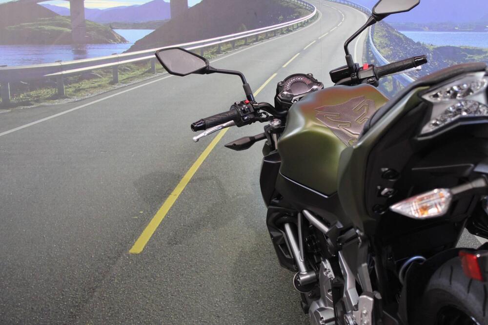 Kawasaki Z 650 (2017 - 19) (17)