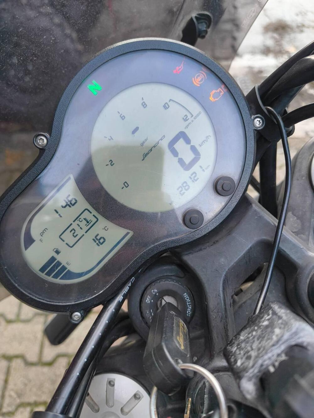 Benelli Leoncino 500 ABS (2017 - 20) (6)