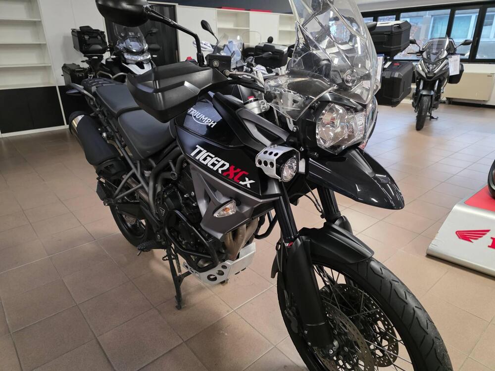Triumph Tiger 800 XCx (2015 - 17) (6)