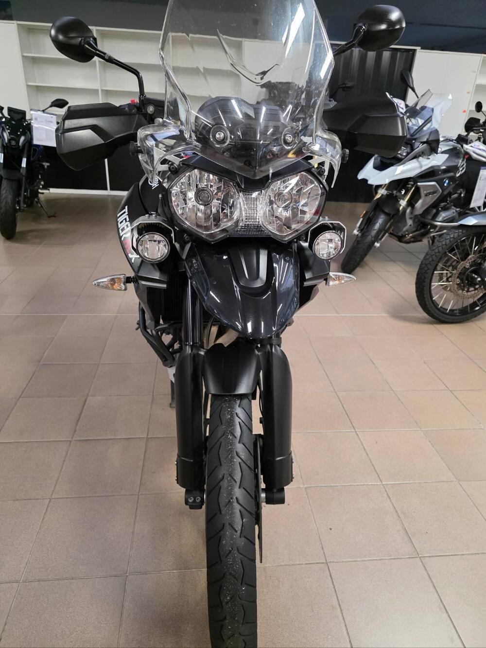 Triumph Tiger 800 XCx (2015 - 17) (7)