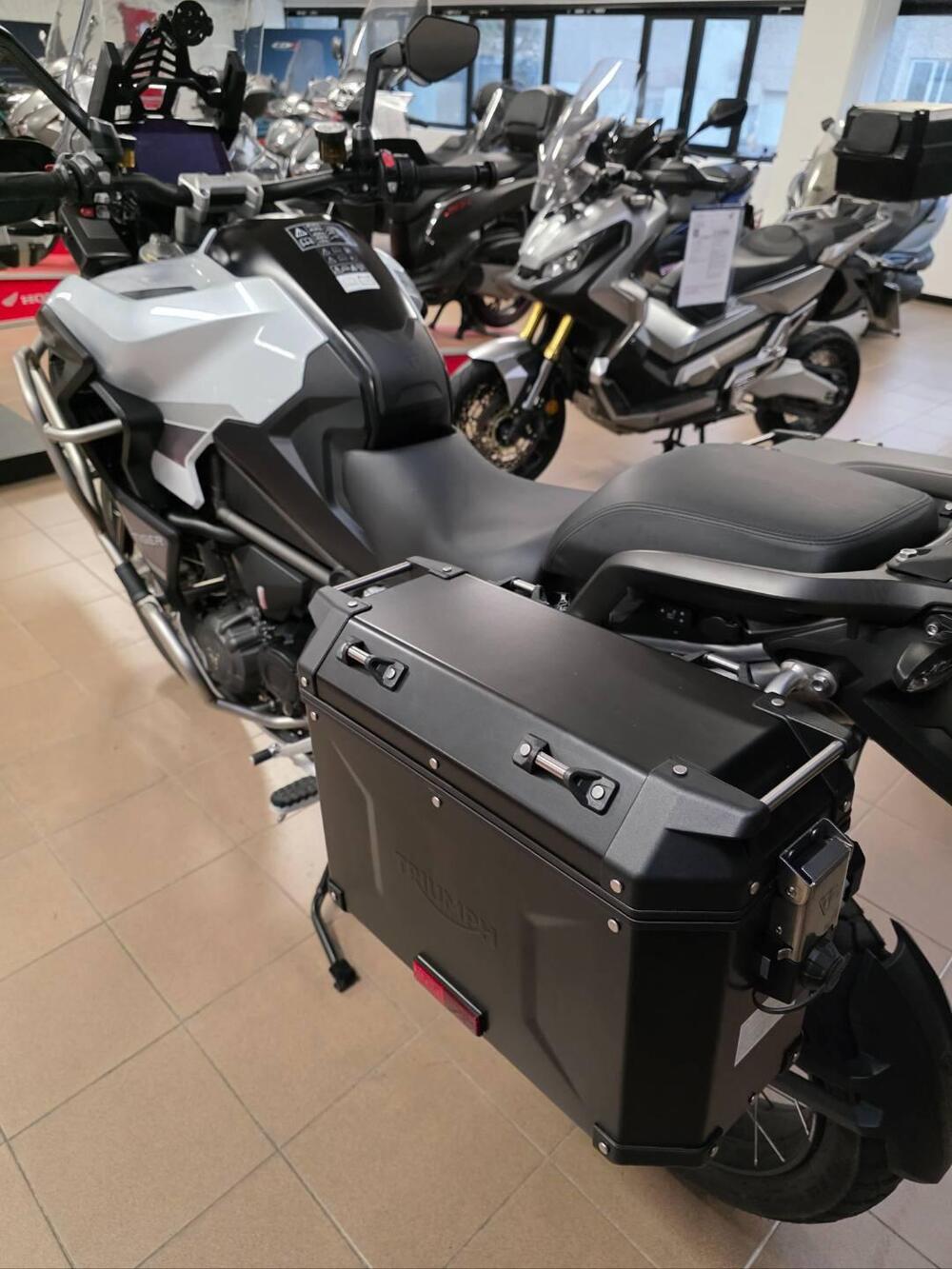 Triumph Tiger 1200 Rally Explorer (2022 - 23) (2)