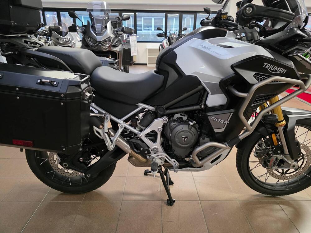 Triumph Tiger 1200 Rally Explorer (2022 - 23) (5)