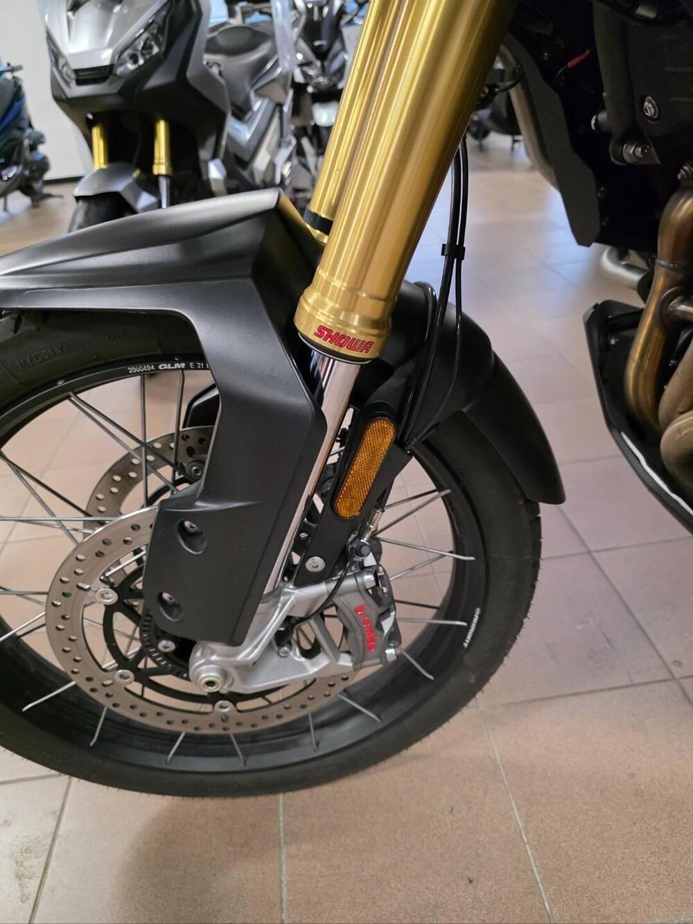 Triumph Tiger 1200 Rally Explorer (2022 - 23) (8)