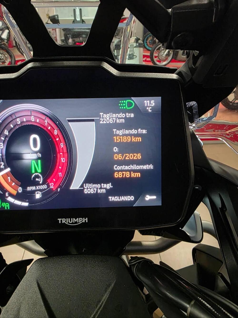 Triumph Tiger 1200 Rally Explorer (2022 - 23) (9)