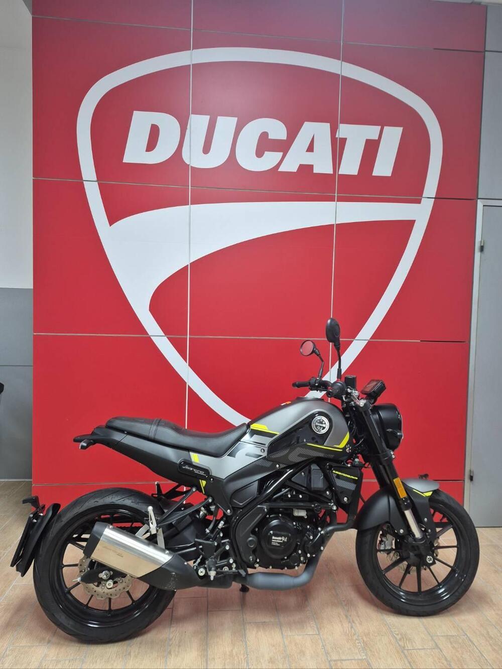 Benelli Leoncino 250 (2021 - 25)