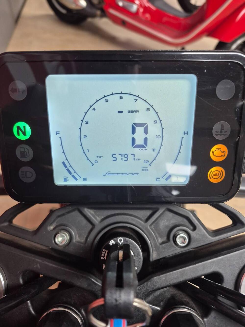 Benelli Leoncino 250 (2021 - 25) (4)