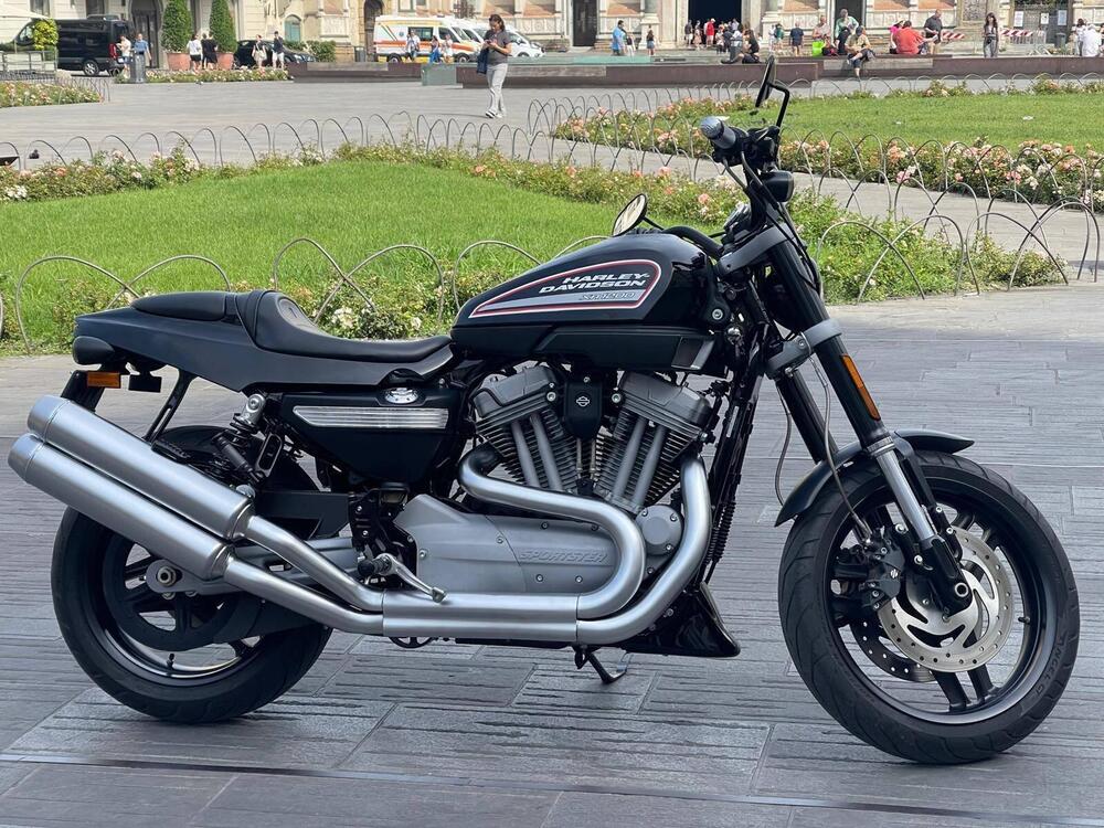 Harley-Davidson 1200 XR (2009 - 12) (5)