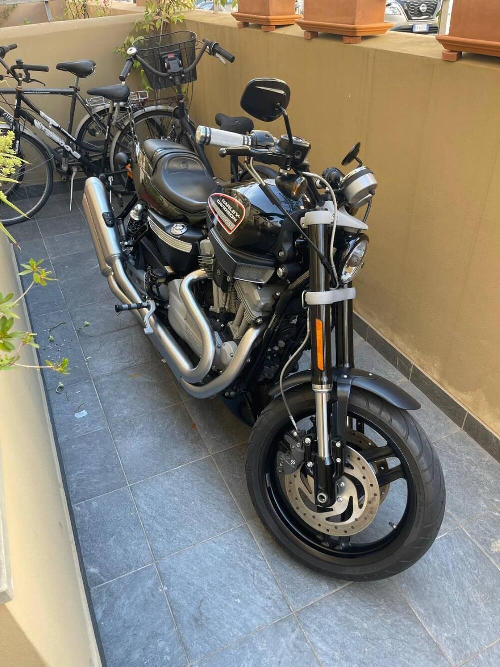 Harley-Davidson 1200 XR (2009 - 12) (7)