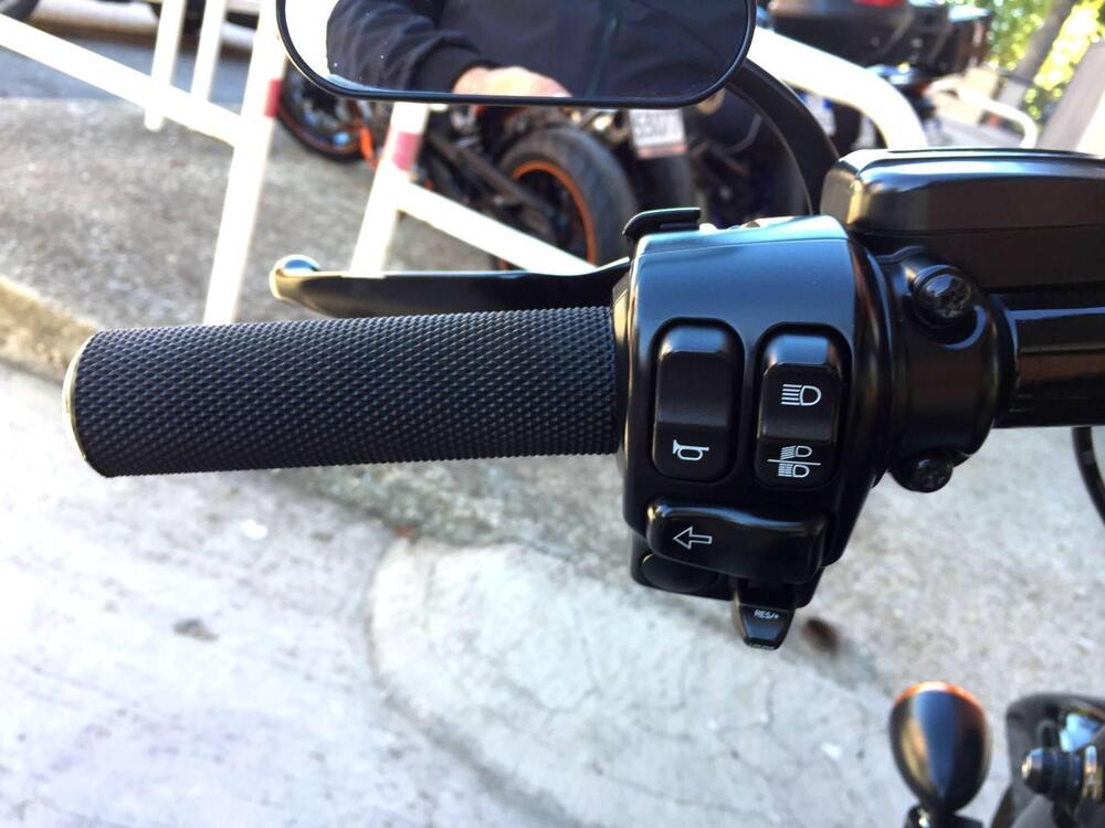 Harley-Davidson 107 Road King Special (2017 - 18) - FLHRXS (11)