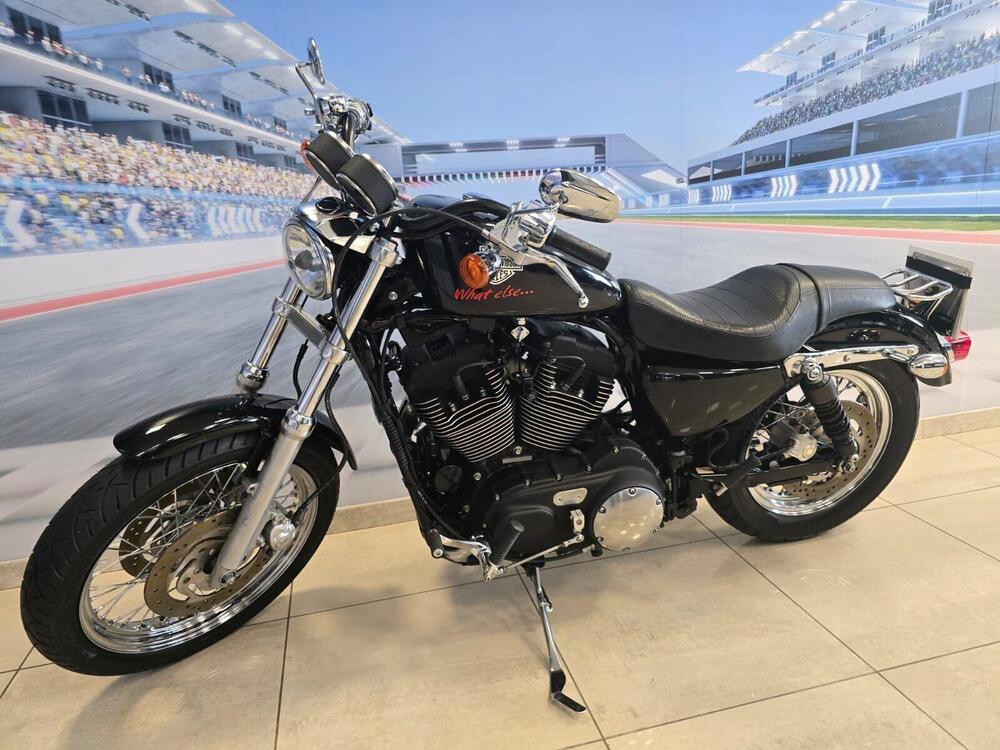 Harley-Davidson 1200 Roadster (2006 - 08) - XL 1200R (4)