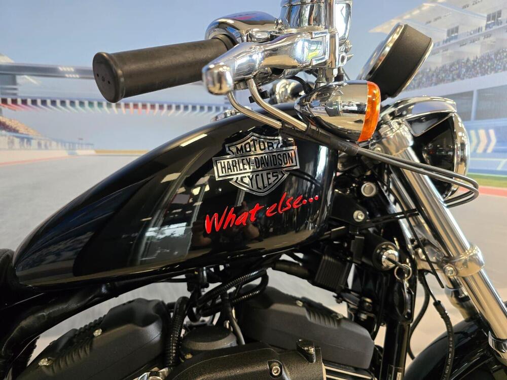 Harley-Davidson 1200 Roadster (2006 - 08) - XL 1200R (14)