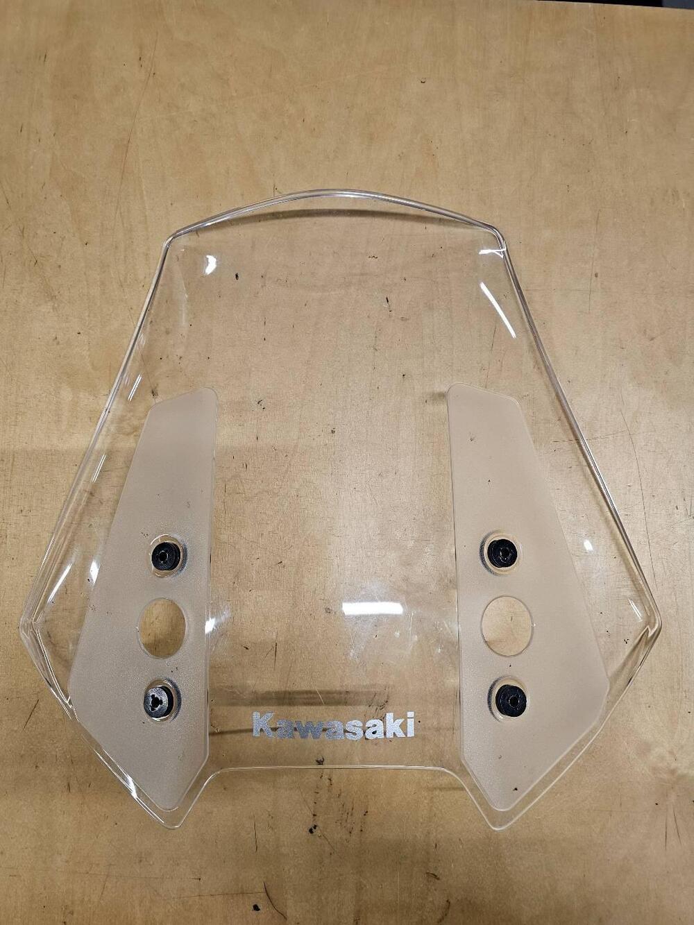Cupolino Kawasaki Versys 650