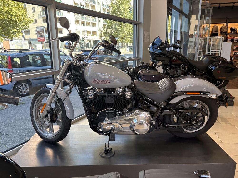 Harley-Davidson Softail Standard (2021 - 25) (3)