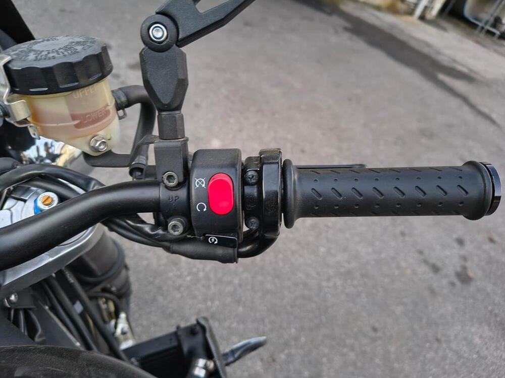 Triumph Speed Triple 1050 (2005 - 11) (8)