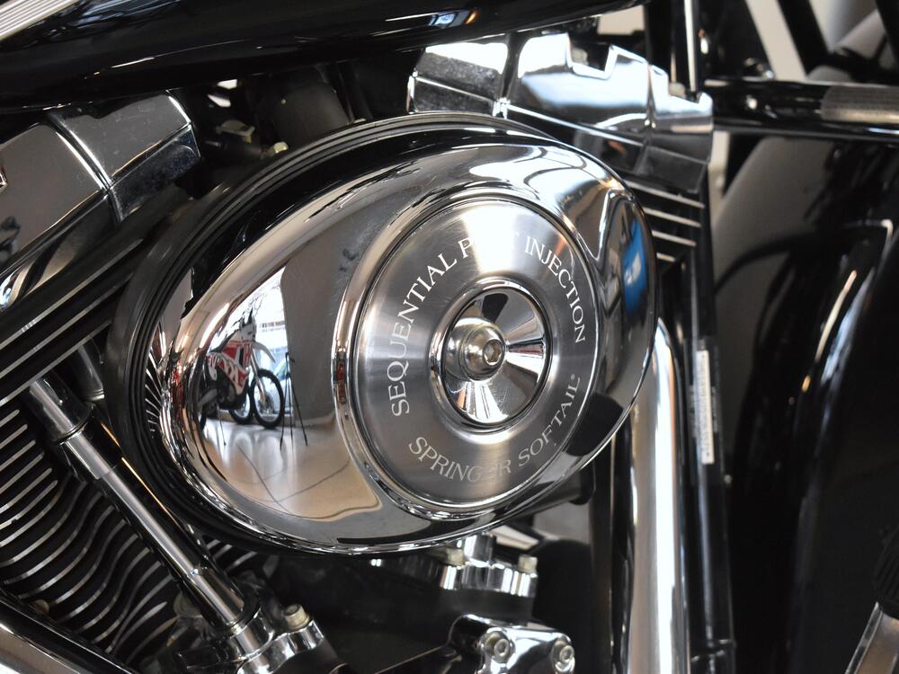 Harley-Davidson 1450 Springer Classic (2005) - FLSTSCI (13)