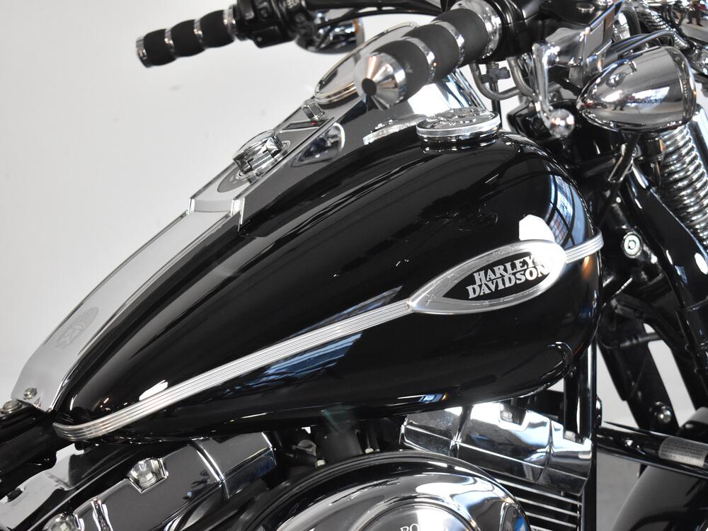 Harley-Davidson 1450 Springer Classic (2005) - FLSTSCI (14)