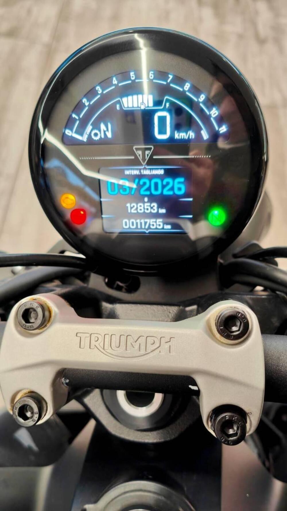 Triumph Trident 660 (2021 - 24) (8)