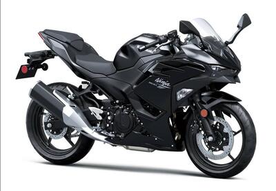 Kawasaki Ninja 500 (2024 - 26) nuova