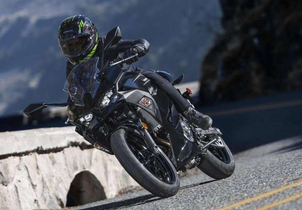 Kawasaki Ninja 500 (2024 - 26) (6)