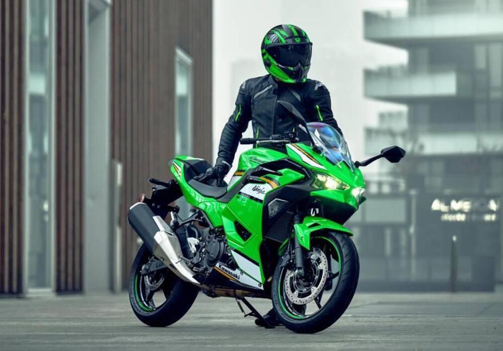 Kawasaki Ninja 500 SE (2024 - 26) (13)