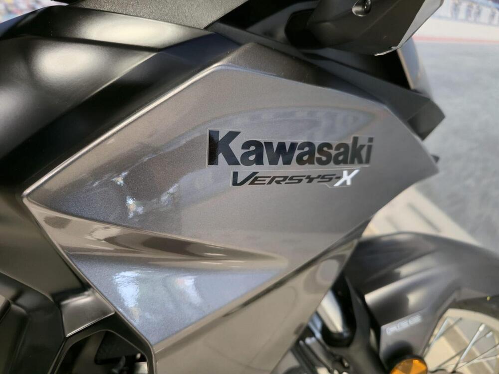 Kawasaki Versys-X 300 (2017 - 20) (7)