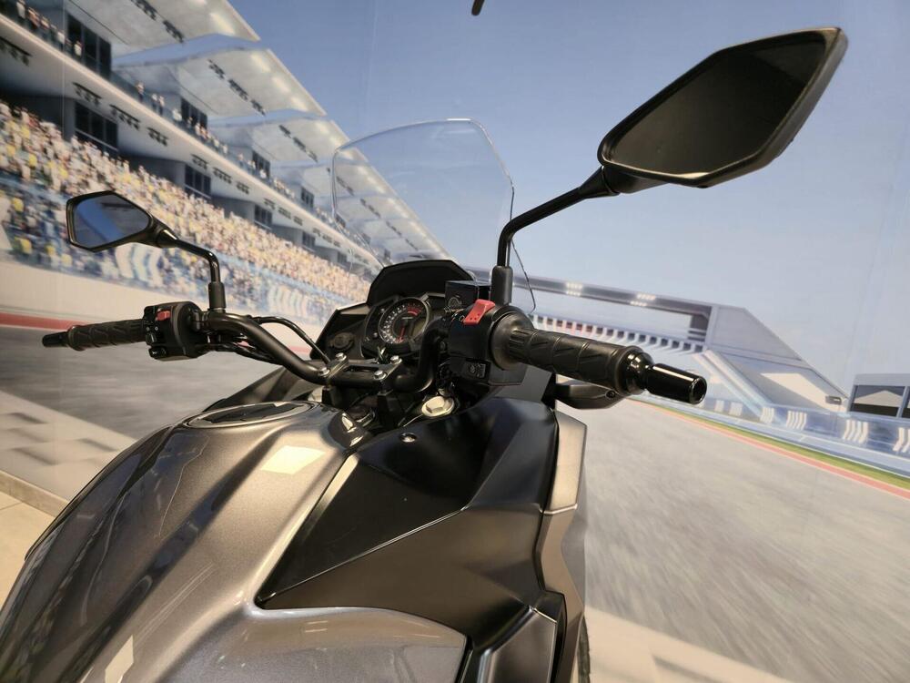 Kawasaki Versys-X 300 (2017 - 20) (8)