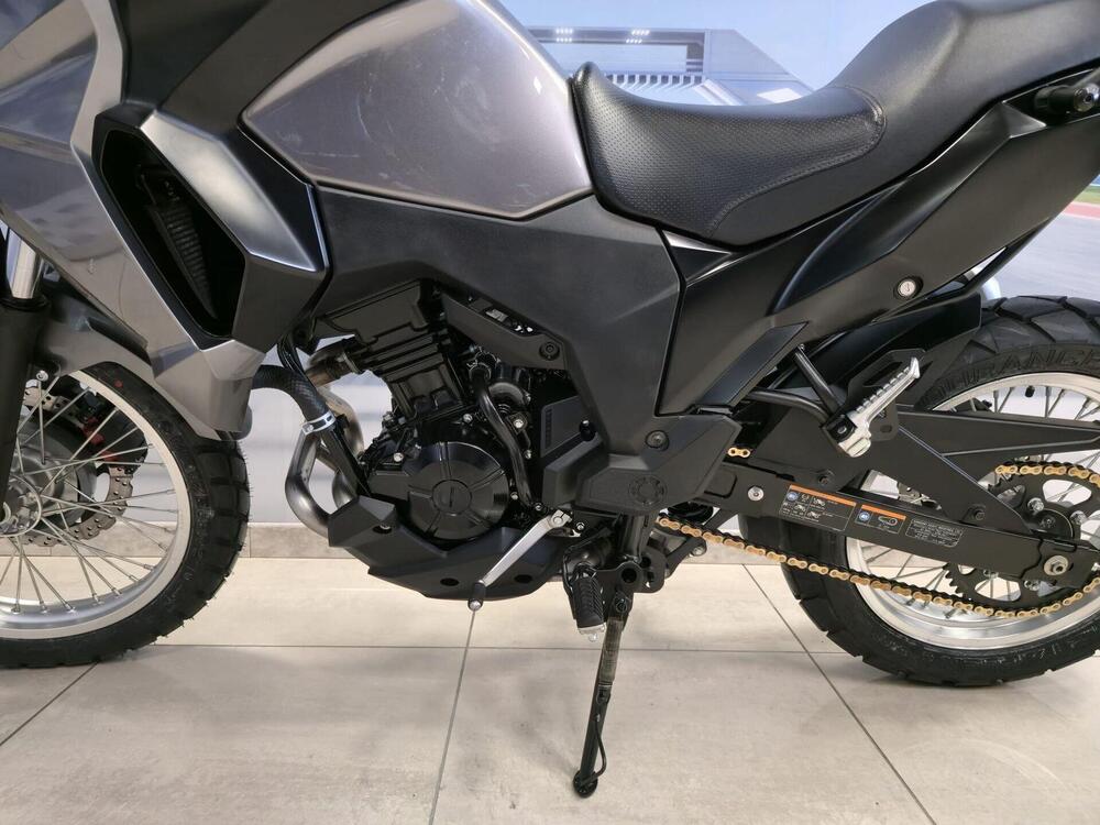 Kawasaki Versys-X 300 (2017 - 20) (19)