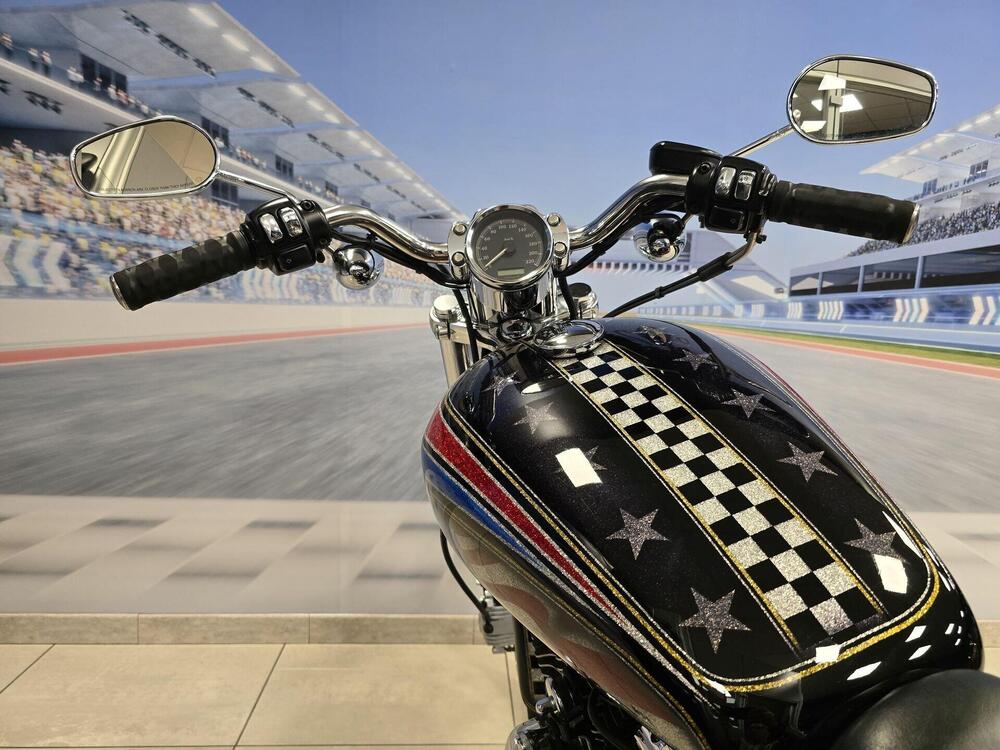 Harley-Davidson 1200 Roadster (2002 - 05) - XL 1200R (6)