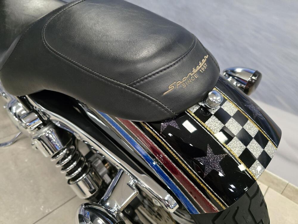 Harley-Davidson 1200 Roadster (2002 - 05) - XL 1200R (10)