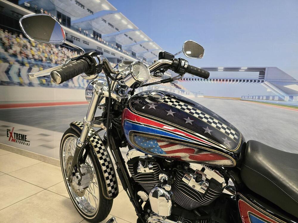 Harley-Davidson 1200 Roadster (2002 - 05) - XL 1200R (11)