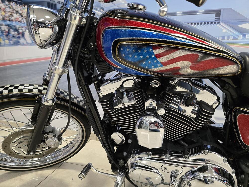 Harley-Davidson 1200 Roadster (2002 - 05) - XL 1200R (13)