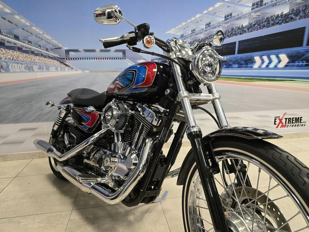 Harley-Davidson 1200 Roadster (2002 - 05) - XL 1200R (14)