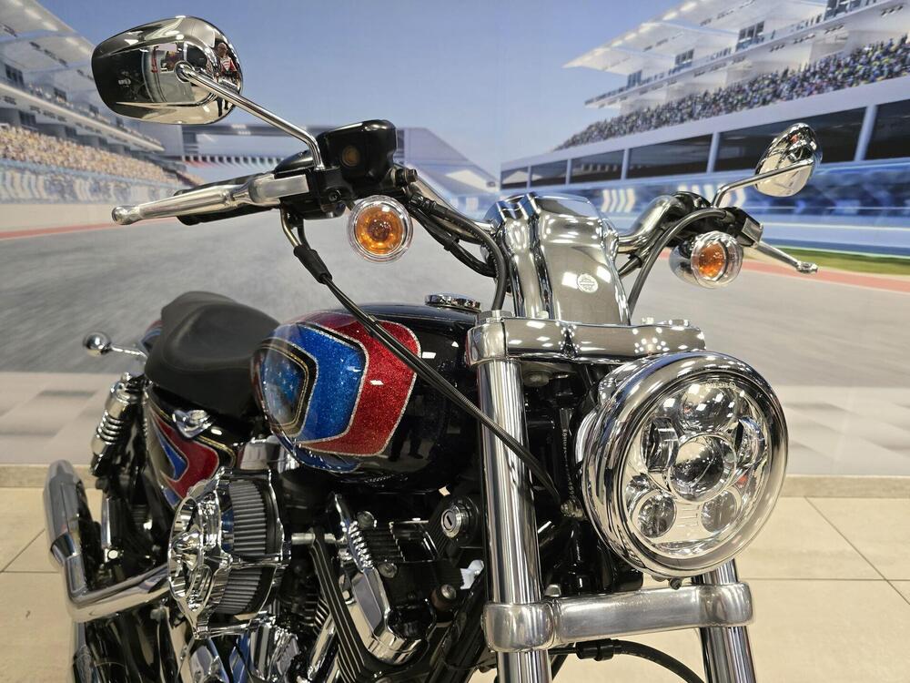 Harley-Davidson 1200 Roadster (2002 - 05) - XL 1200R (17)