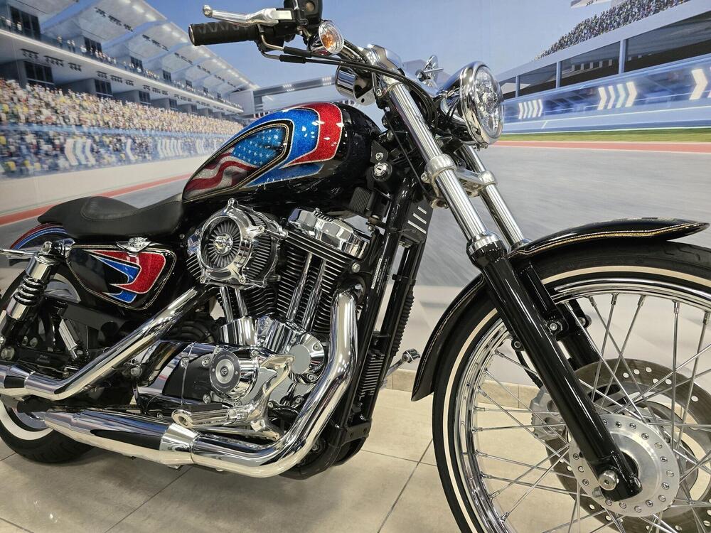 Harley-Davidson 1200 Roadster (2002 - 05) - XL 1200R (18)