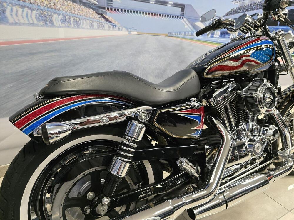 Harley-Davidson 1200 Roadster (2002 - 05) - XL 1200R (20)