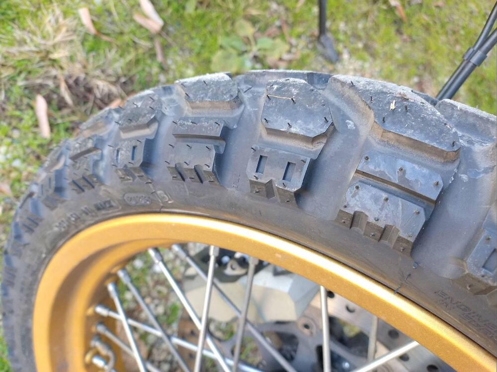 Ducati Scrambler 800 Desert Sled (2017 - 20) (3)