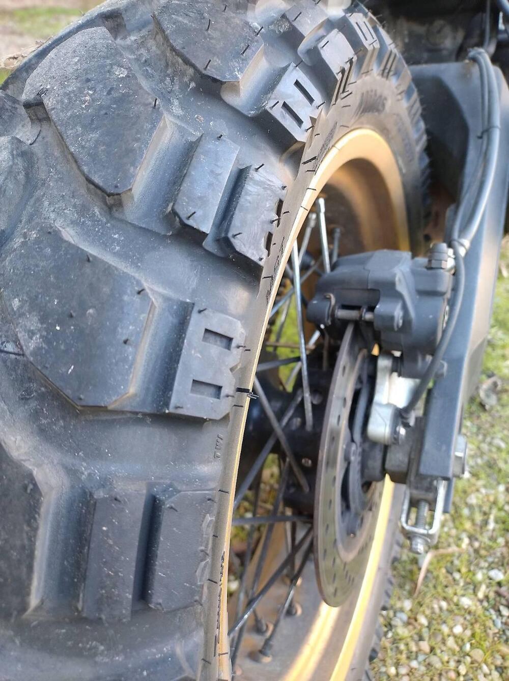 Ducati Scrambler 800 Desert Sled (2017 - 20) (4)