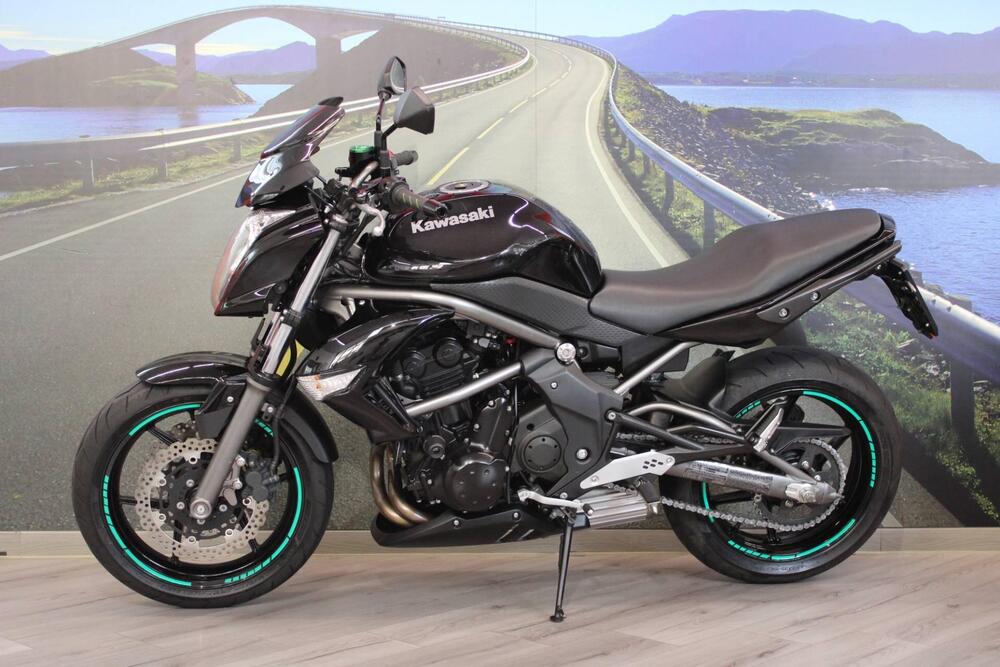 Kawasaki ER-6N (2009 - 11) (7)