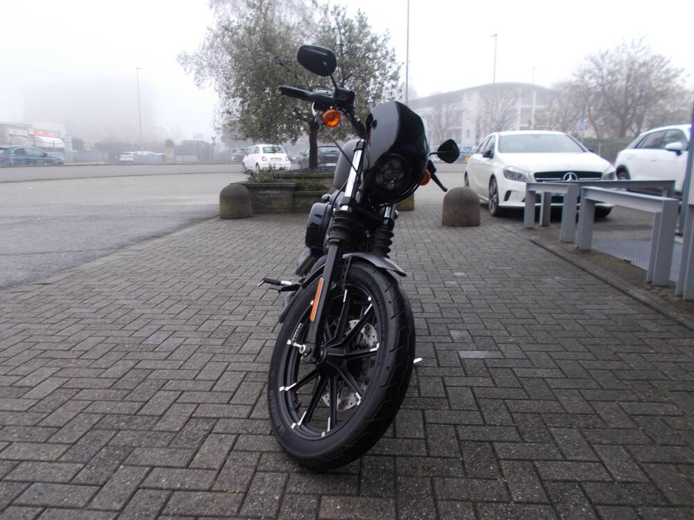 Harley-Davidson 883 Iron (2017 - 20) - XL 883N (3)