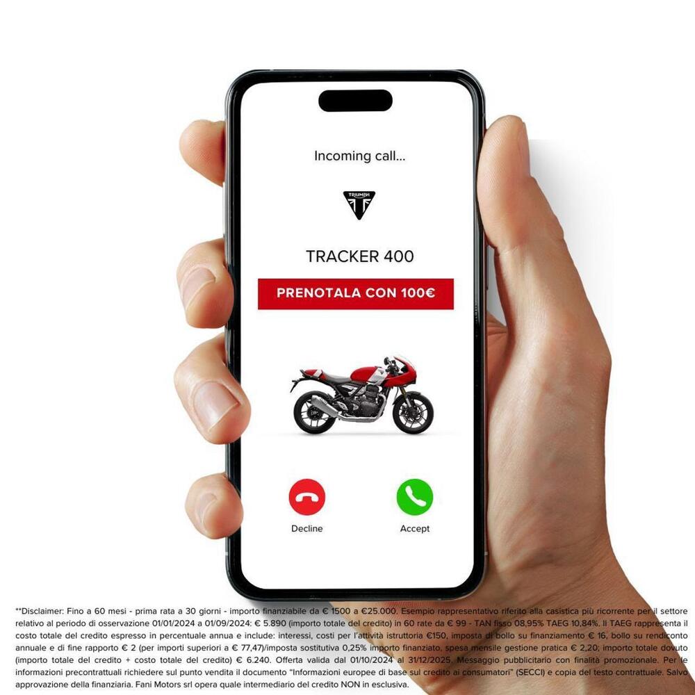 Triumph Speed 400 (2024 - 25) (2)