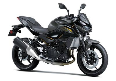 Kawasaki Z 500 (2024 - 26) nuova