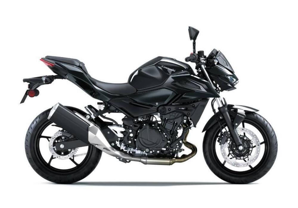 Kawasaki Z 500 (2024 - 26) (8)