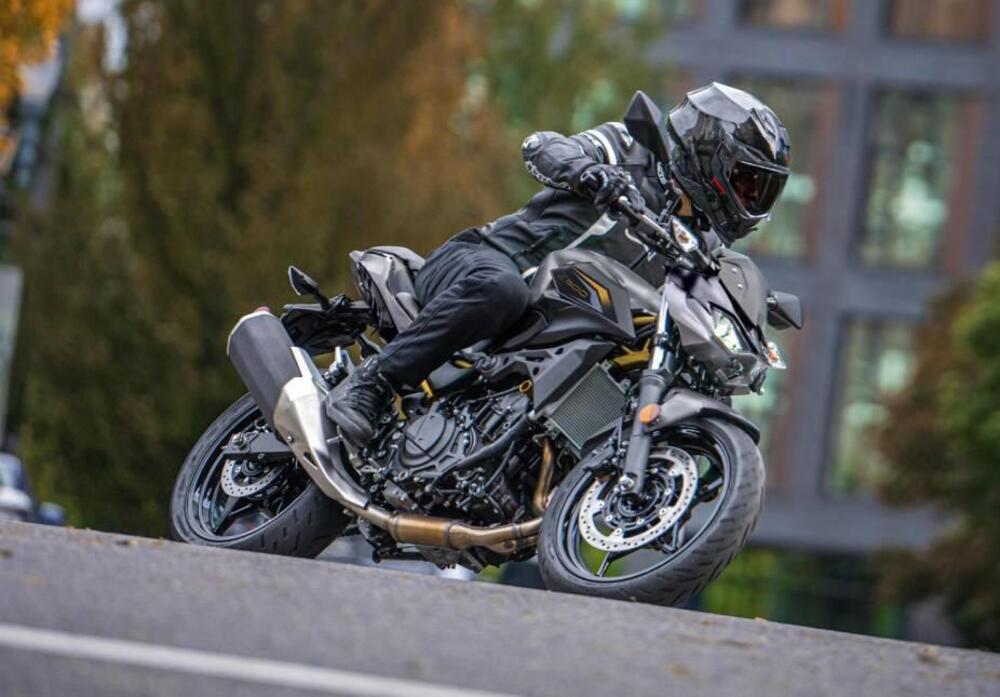 Kawasaki Z 500 (2024 - 26) (10)