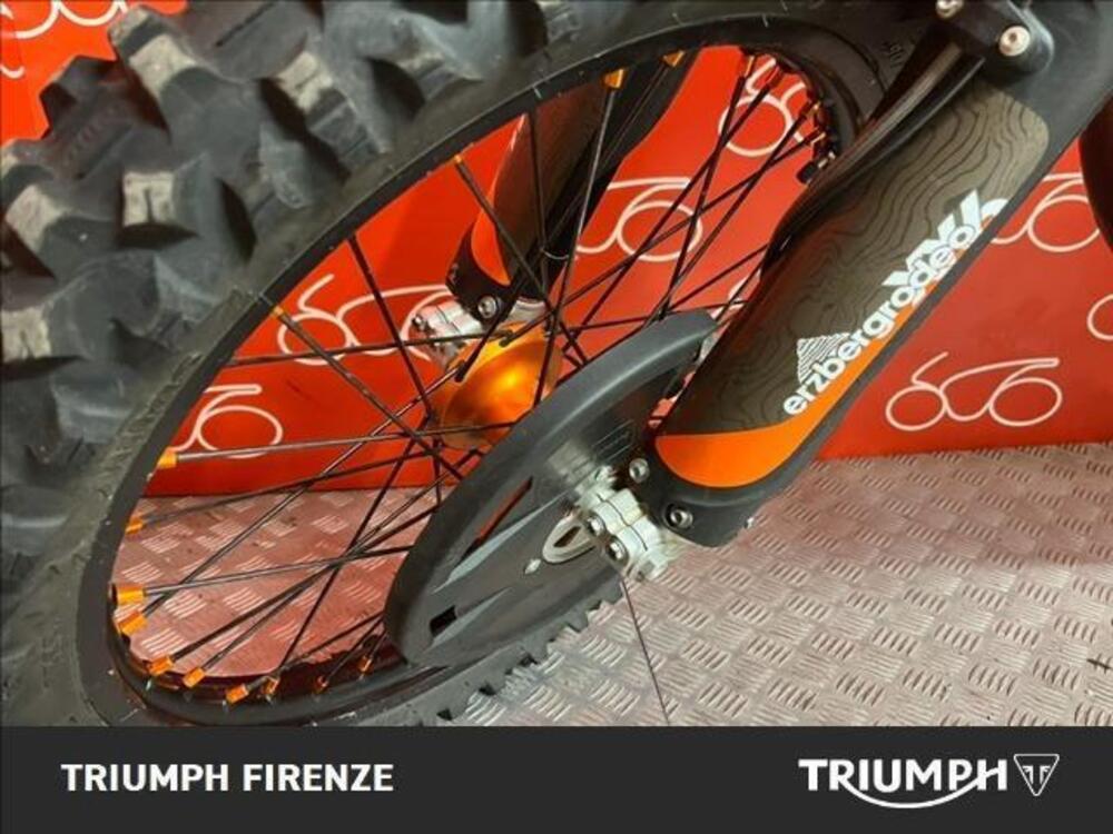 KTM 300 EXC Erzbergrodeo TPI (2021) (7)