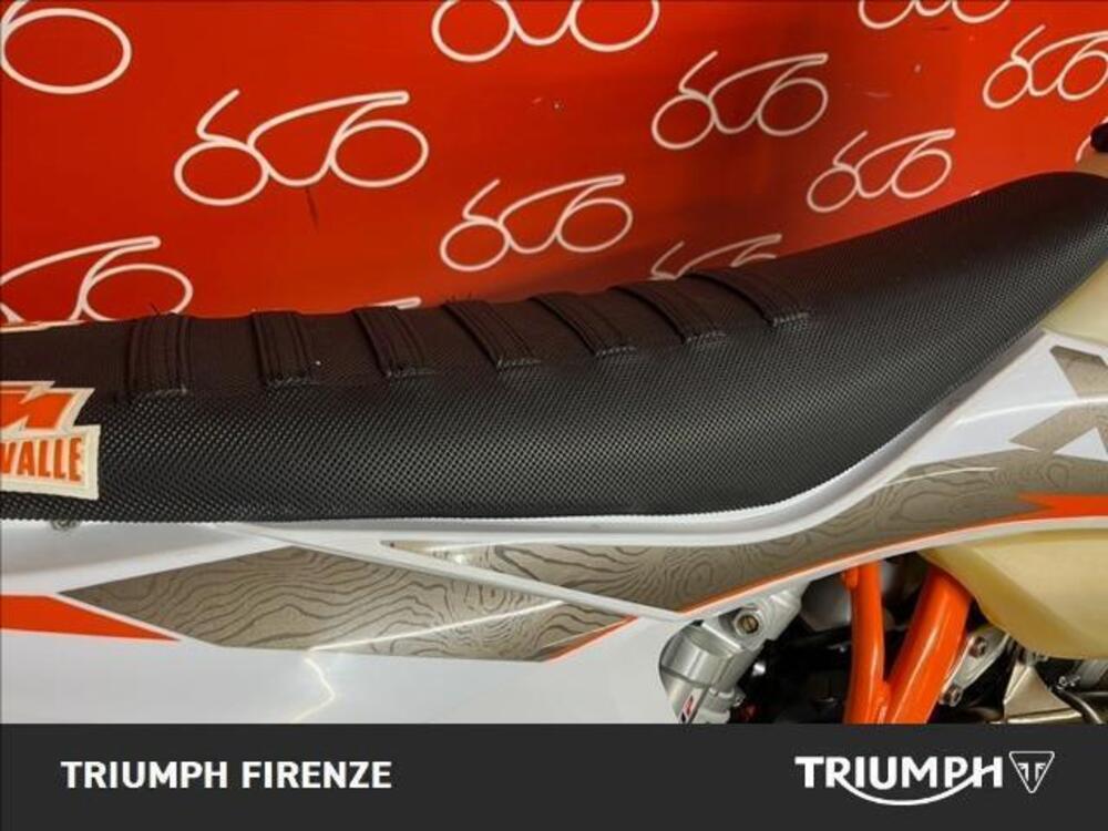 KTM 300 EXC Erzbergrodeo TPI (2021) (9)