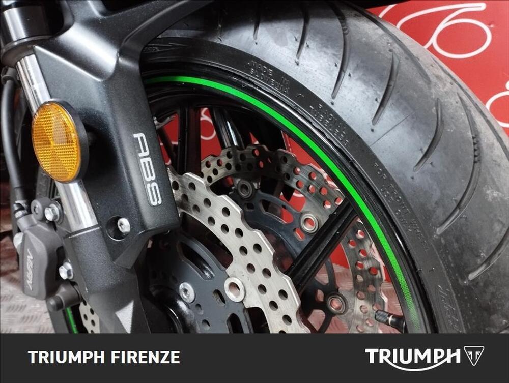 Kawasaki Versys 650 (2017 - 20) (3)