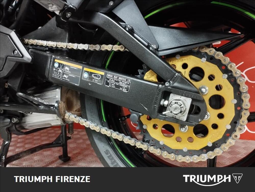 Kawasaki Versys 650 (2017 - 20) (10)