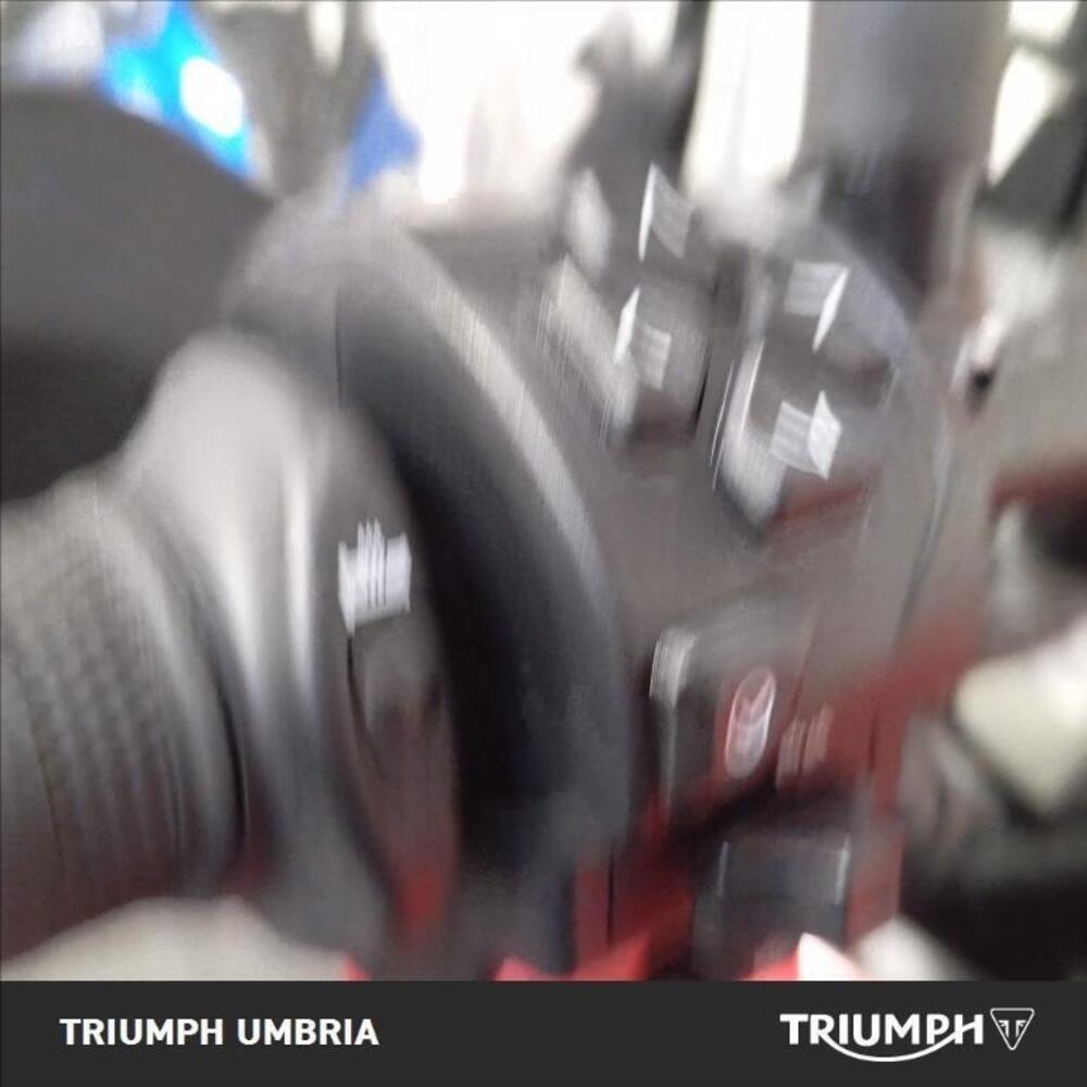 Triumph Tiger Sport 660 (2022 - 24) (9)